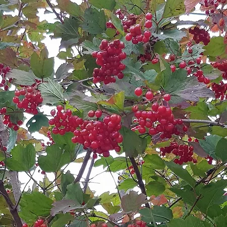 L'eternite Casa de Férias Heure