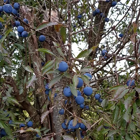 Casa de Férias L'eternite *